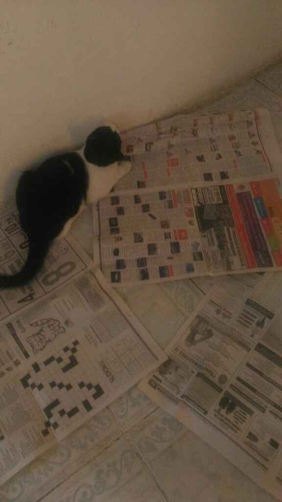 Mis avances a 39 días ¡ - 4