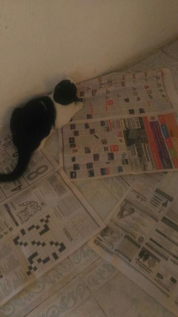 Mis avances a 39 días ¡ - 4