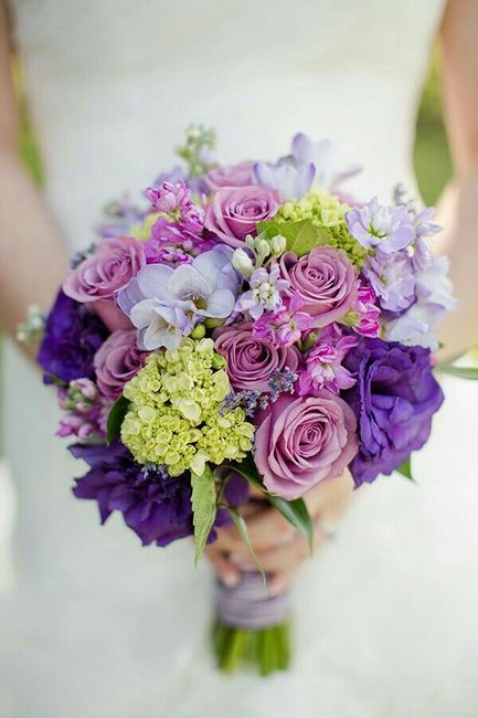 Mi ramo ¡ cuál elegir? - 3