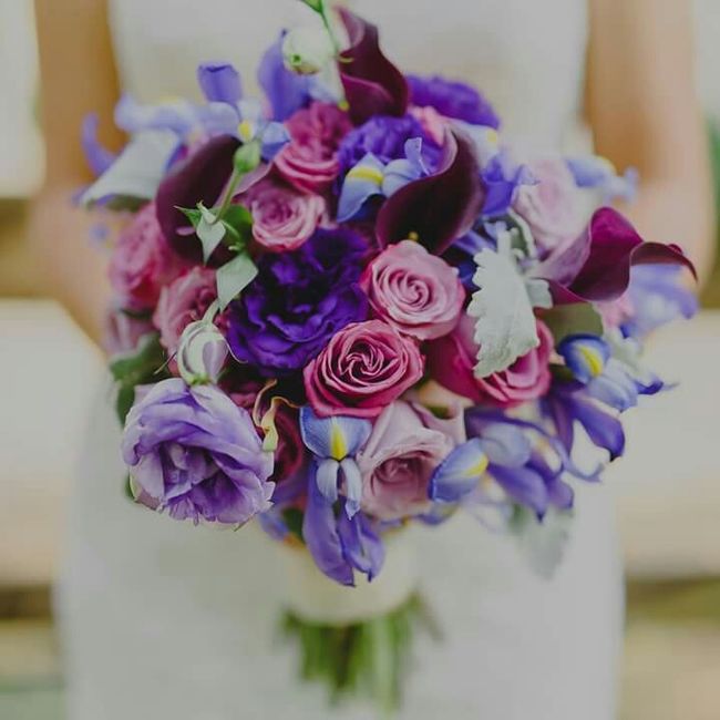 Mi ramo ¡ cuál elegir? - 4