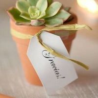 Esencial o lujo: recuerditos - 1