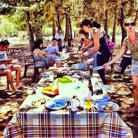 Esencial o lujo:  Tornaboda - 1