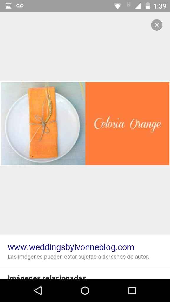 Solo novias en color naranja !! - 1