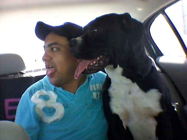 Fotos con el novio  - 3
