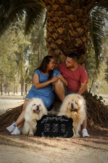 Mi sesión save the date - 8