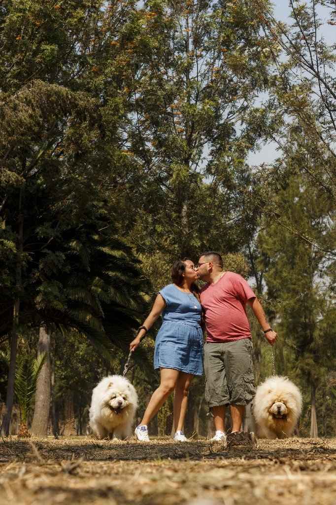 Mi sesión save the date - 5