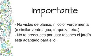notas importantes