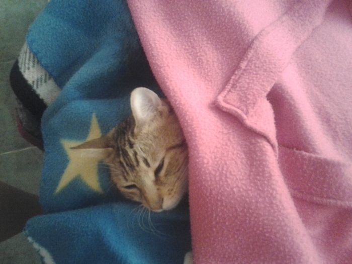 La foto de tu mascota! - 1