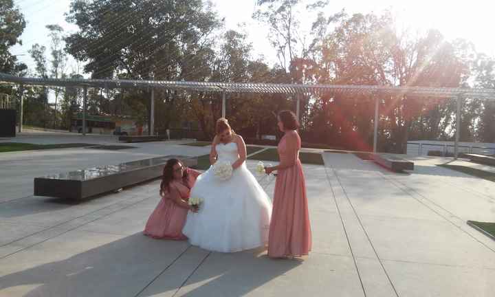 Vestidos de damas - 1