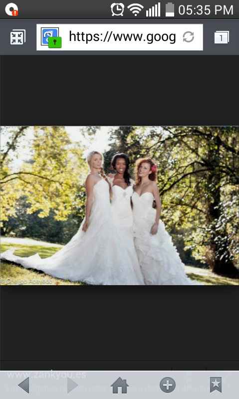 Novias de la ciudad de puebla  - 1