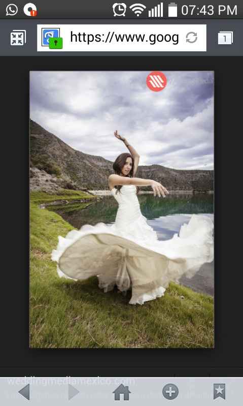 Trash the dress diy - 4