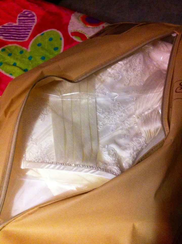 Tengo mi vestido!!!  - 1