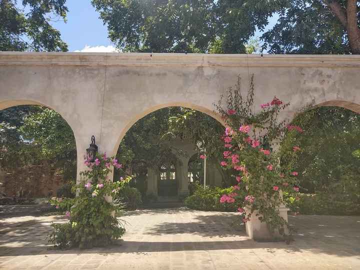 Jardín o Salón? - 1