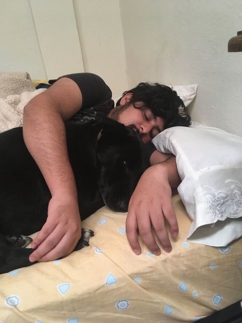 Con Bagheera