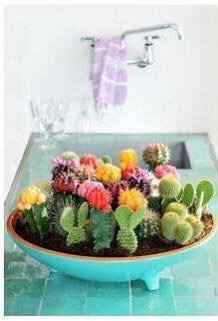Recuerdos y centros de mesa de cactus 😬 - 3