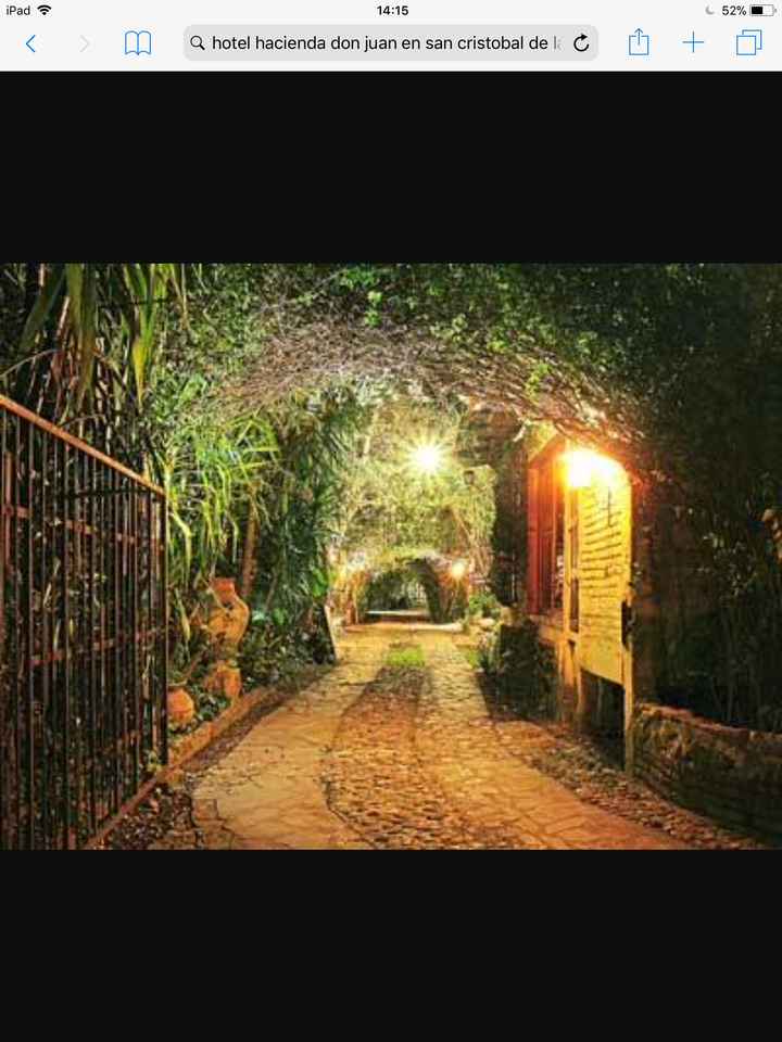 Jardín o Salón?? 😥 - 6