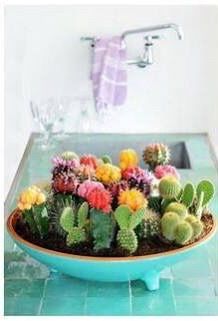 Recuerdos y centros de mesa de cactus 😬 - 3
