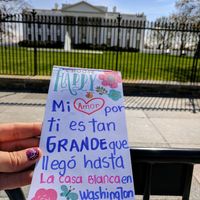 Ayuda! carteles mi amor por ti llego hasta.... - 2