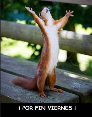 viernes