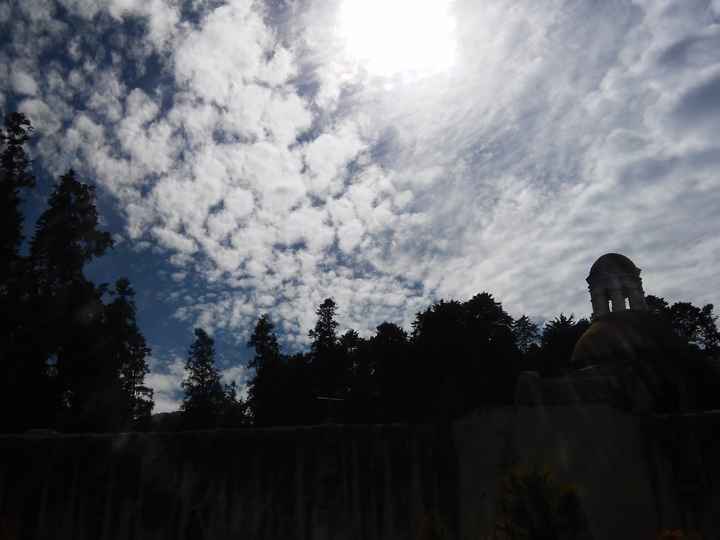 Desierto de los leones