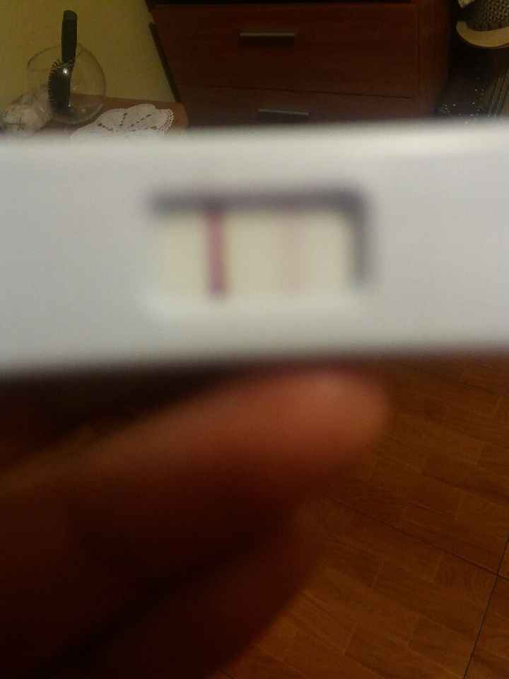 Ayuda chicas embarazo - 1