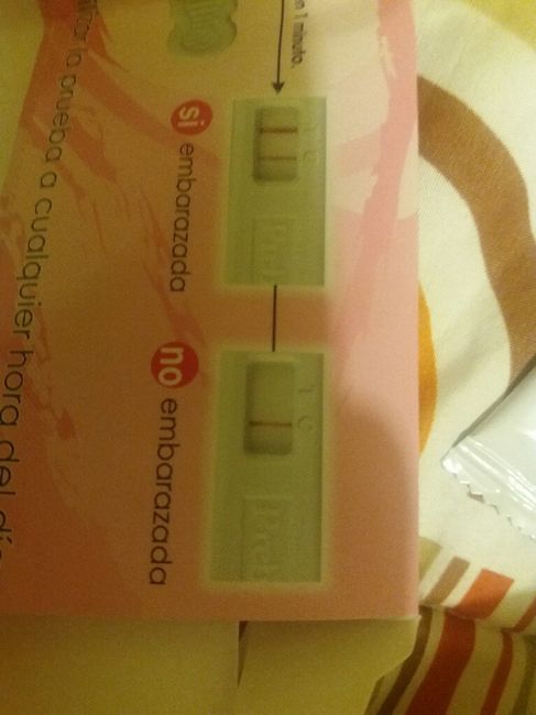 Ayuda chicas embarazo - 2