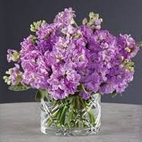 Centro de mesa con color 