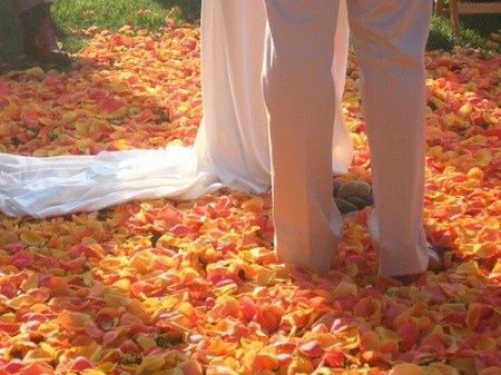 petalos