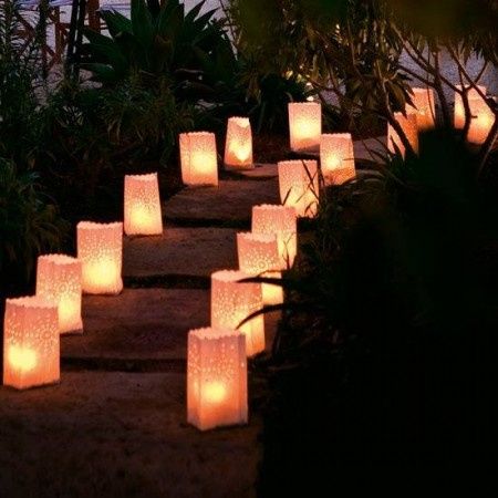 luz en el camino