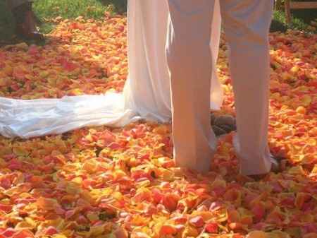 petalos