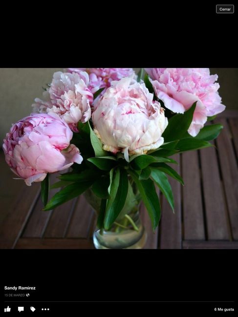 Mis flores predilectas