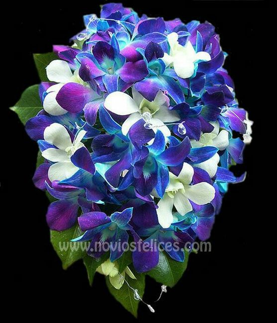 Combinaciones de color morado y azul - 4