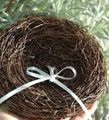 Ideas para cojin de anillos!