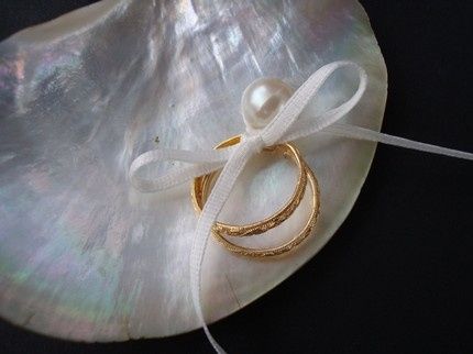 Ideas para cojin de anillos!