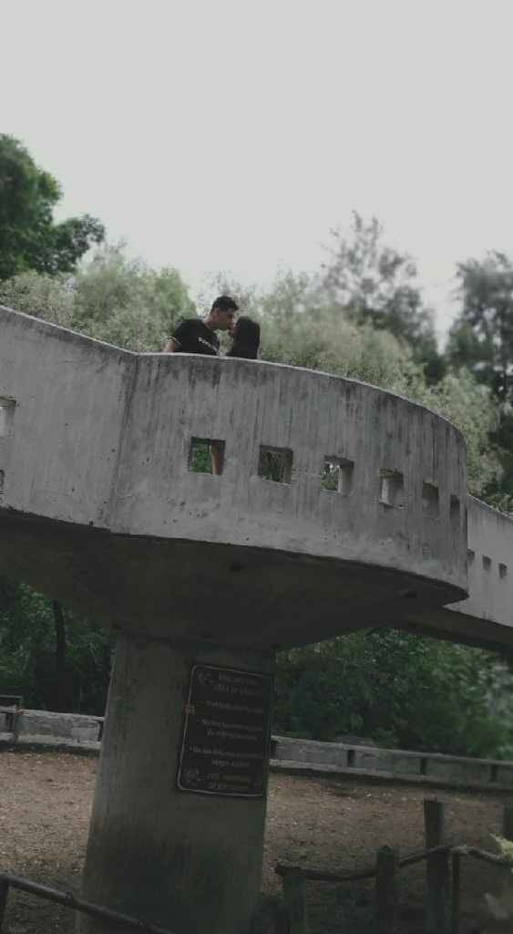 Sesión Save The Date preliminar - 4