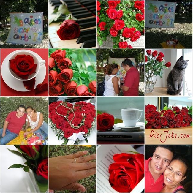 COMPROMETIDOS