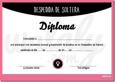 Despedida de soltera - 11