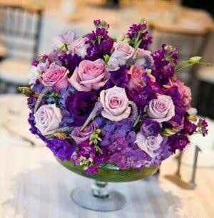 "combinaciones de colores en "lila" y "morado" - 1