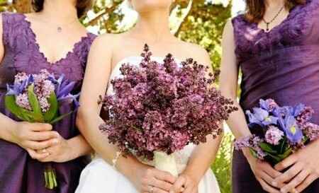 Combinaciones de colores en negro y morado - 1