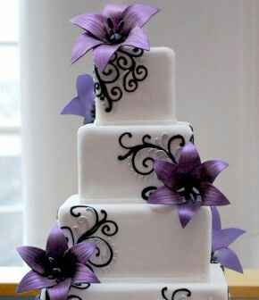 Combinaciones de colores en negro y morado - 14
