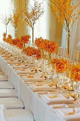 Combinaciones de colores en blanco y dorado - 30