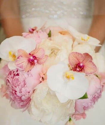 Combinación de colores 