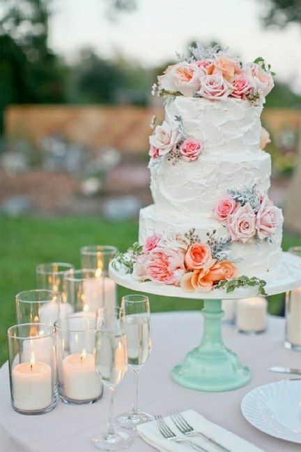 Combinación de colores en menta y palo de rosa - 50