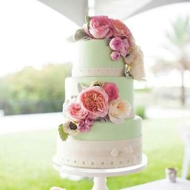 Combinación de colores en menta y palo de rosa - 59