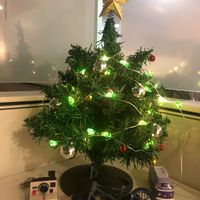 ¿Les gusta la navidad o son una pareja Grinch? - 1