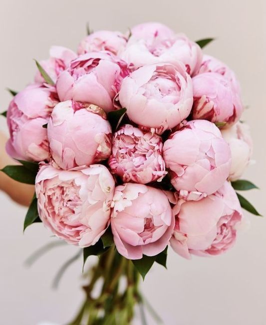 RAMO DE PEONIES 