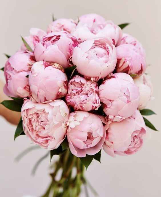 RAMO DE PEONIES 