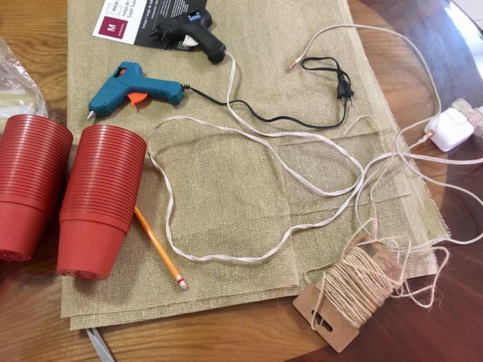 Suculentas 🙈🌵🌿 - 3