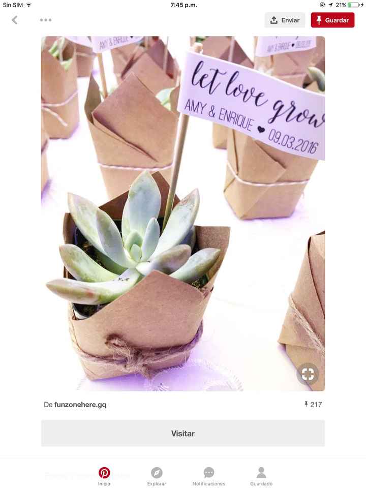 Suculentas 🙈🌵🌿 - 1