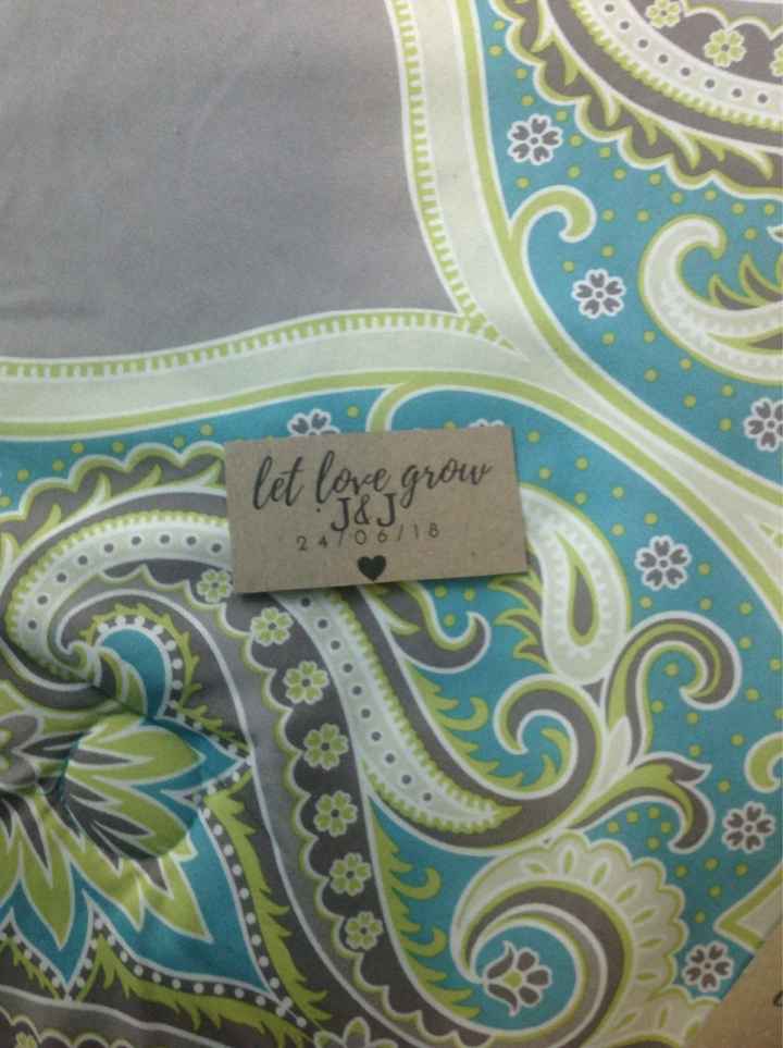 Suculentas 🙈🌵🌿 - 1